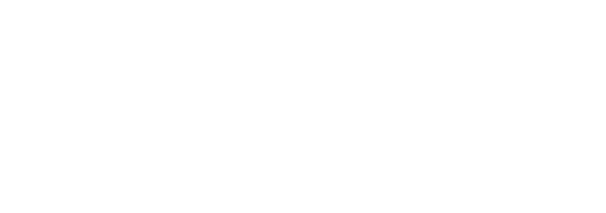 Netherix Studios